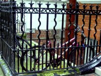 Another fucking bike. 