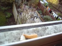 I am not supposed to be smoking. 