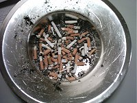 An ashtray at an office. It's size defies belief. 
