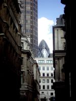 The tip of the dong. 