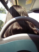 Hair stripe on bus. 