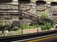 An unexpected garden.