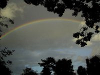 Ah. A normal, pretty picture. 