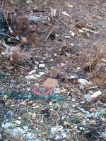 Rubbish. Lots of it. In Haringay.