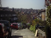All the pretty rooftops.