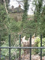 The Spinney by Rhodes Avenue school