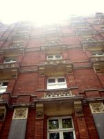 Sunlight bathed the golden glow