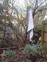 A pathetic teatowel. 