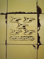 Seagulls. And I'm not even in Brighton. 