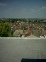 The view from the roof of the house I grew up in