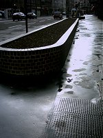 A wet street. I like the shape of the light.